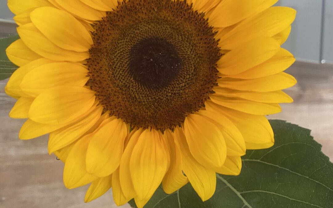 Ich soll anderen Orientierung geben – und bin selbst unter Druck.